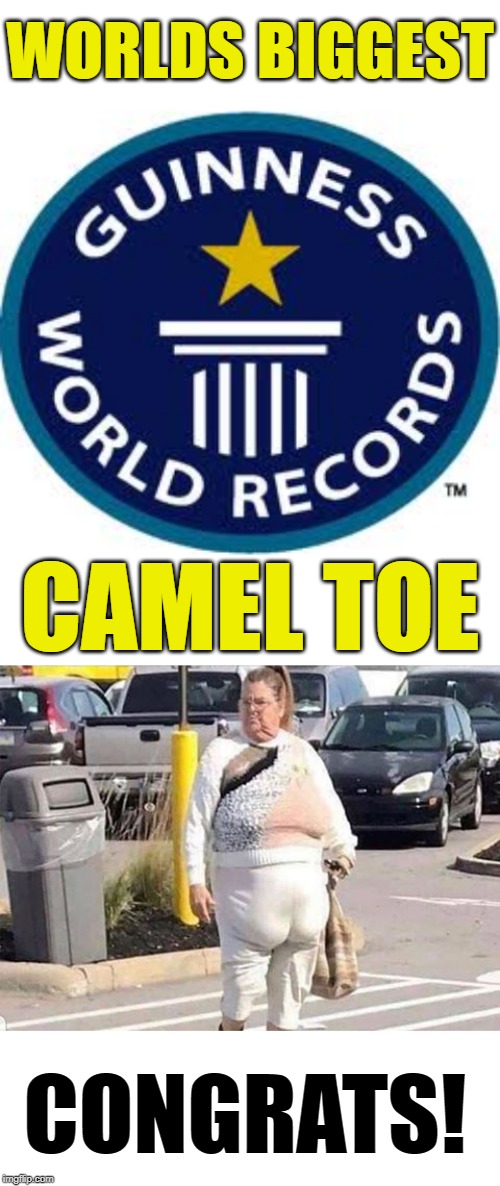 HOOOOF | WORLDS BIGGEST; CAMEL TOE; CONGRATS! | image tagged in memes,guinness world record,cameltoe,lol,fun,meme | made w/ Imgflip meme maker