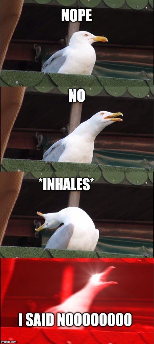 Inhaling Seagull Meme | NOPE; NO; *INHALES*; I SAID NOOOO0000 | image tagged in memes,inhaling seagull | made w/ Imgflip meme maker