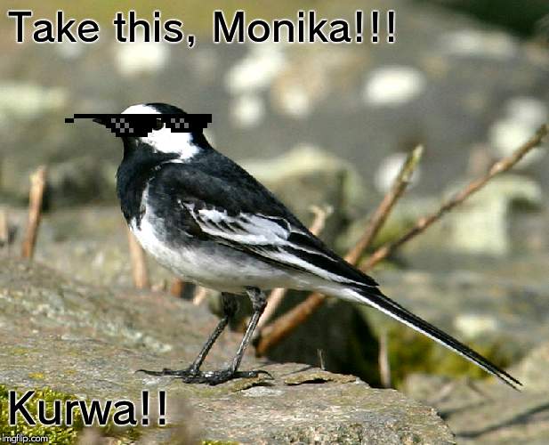 Savage Pied Wagtail | Take this, Monika!!! Kurwa!! | image tagged in savage pied wagtail | made w/ Imgflip meme maker
