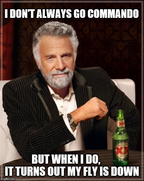 My Fly Is Down | I DON'T ALWAYS GO COMMANDO; BUT WHEN I DO,       IT TURNS OUT MY FLY IS DOWN | image tagged in memes,the most interesting man in the world | made w/ Imgflip meme maker