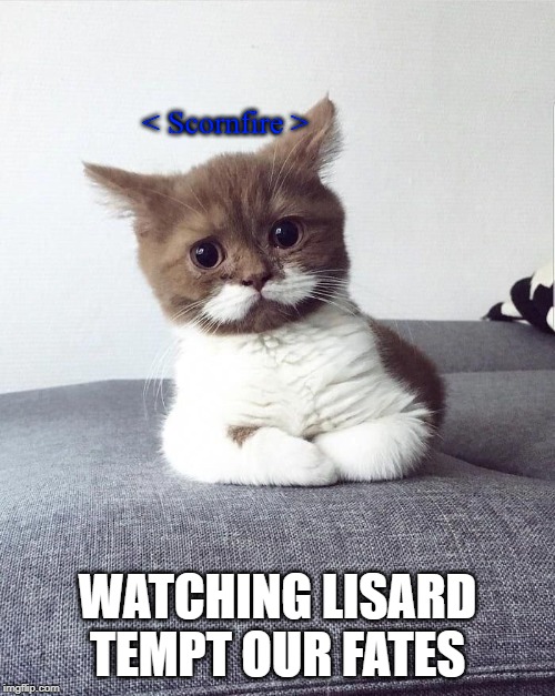 Concerned Kitten | < Scornfire >; WATCHING LISARD TEMPT OUR FATES | image tagged in concerned kitten | made w/ Imgflip meme maker
