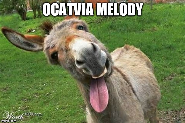Laughing Donkey | OCATVIA MELODY | image tagged in laughing donkey | made w/ Imgflip meme maker