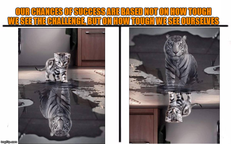 Pretty sure I made this quote up off the top of my head - Tiger Week 3, Jul 27 - Aug 2, a TigerLegend1046 event | OUR CHANCES OF SUCCESS ARE BASED NOT ON HOW TOUGH WE SEE THE CHALLENGE, BUT ON HOW TOUGH WE SEE OURSELVES | image tagged in memes,tiger week 3,tigerlegend1046,cats,challenge,tough | made w/ Imgflip meme maker