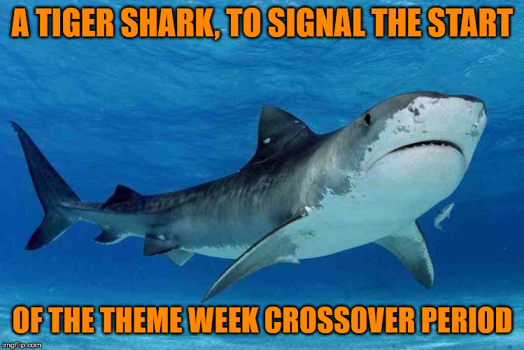 Crossover time! - Shark Week, a Raydog event, and Tiger Week 3, a TigerLegend1046 event | A TIGER SHARK, TO SIGNAL THE START; OF THE THEME WEEK CROSSOVER PERIOD | image tagged in memes,tiger shark,shark week,raydog,tiger week 3,tigerlegend1046 | made w/ Imgflip meme maker
