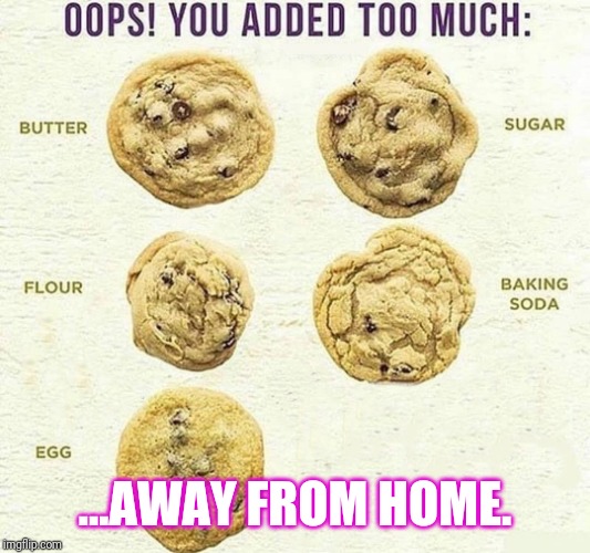Oops, You Added Too Much | ...AWAY FROM HOME. | image tagged in oops you added too much | made w/ Imgflip meme maker