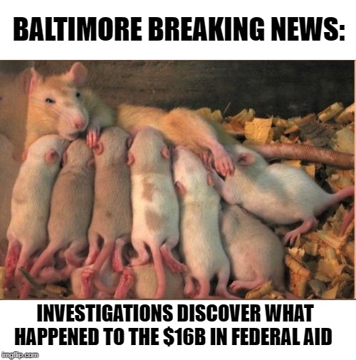 $16B in aid lost in Baltimore | BALTIMORE BREAKING NEWS:; INVESTIGATIONS DISCOVER WHAT HAPPENED TO THE $16B IN FEDERAL AID | image tagged in baltimore,rats,elijah cummings,donald trump | made w/ Imgflip meme maker