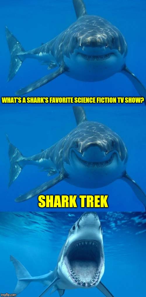 Apparently it's "Shark Week" | WHAT'S A SHARK'S FAVORITE SCIENCE FICTION TV SHOW? SHARK TREK | image tagged in bad shark pun,shark week,memes | made w/ Imgflip meme maker
