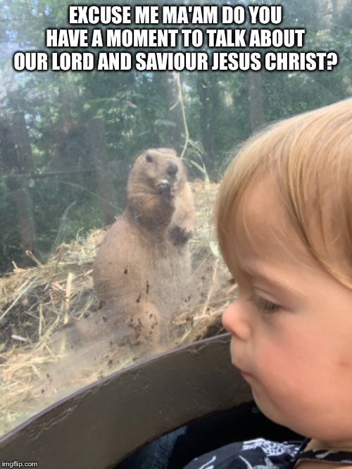 Praying Prairie Dog | EXCUSE ME MA'AM DO YOU HAVE A MOMENT TO TALK ABOUT OUR LORD AND SAVIOUR JESUS CHRIST? | image tagged in praying prairie dog,mabs,maverick | made w/ Imgflip meme maker