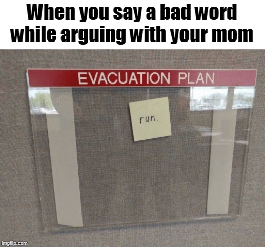 When you say a bad word while arguing with your mom | image tagged in argument,mom | made w/ Imgflip meme maker