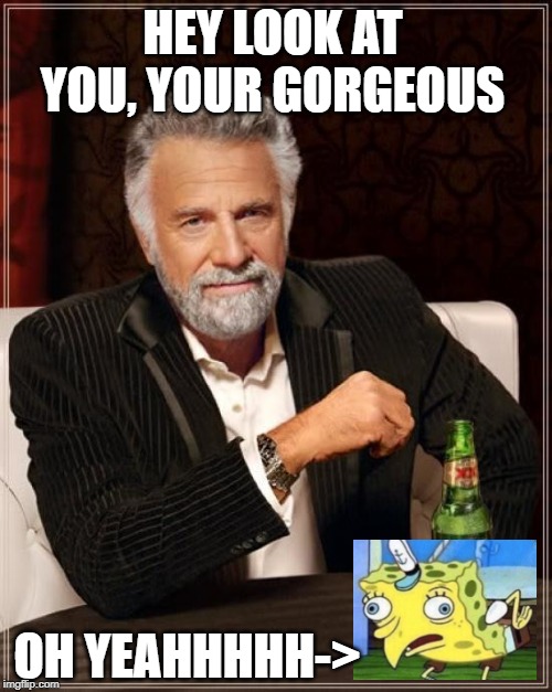 The Most Interesting Man In The World Meme | HEY LOOK AT YOU, YOUR GORGEOUS; OH YEAHHHHH-> | image tagged in memes,the most interesting man in the world | made w/ Imgflip meme maker