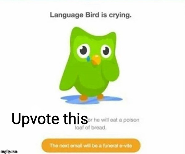 Plz | Upvote this | image tagged in duolingo bird,begging for upvotes | made w/ Imgflip meme maker