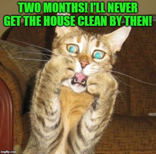 Scared cat | TWO MONTHS! I'LL NEVER GET THE HOUSE CLEAN BY THEN! | image tagged in scared cat | made w/ Imgflip meme maker