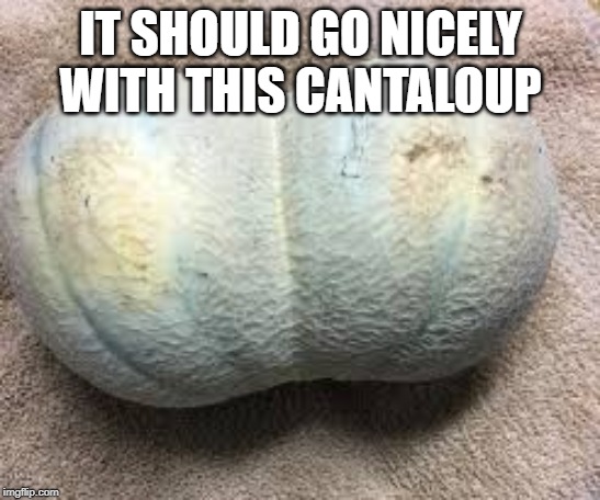 cantaloup | IT SHOULD GO NICELY WITH THIS CANTALOUP | image tagged in cantaloup | made w/ Imgflip meme maker