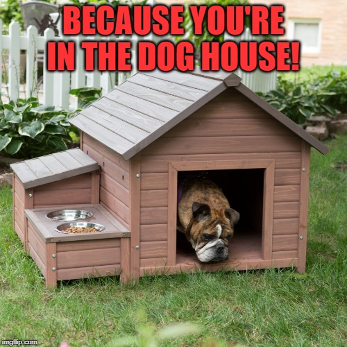 Dog House | BECAUSE YOU'RE IN THE DOG HOUSE! | image tagged in dog house | made w/ Imgflip meme maker