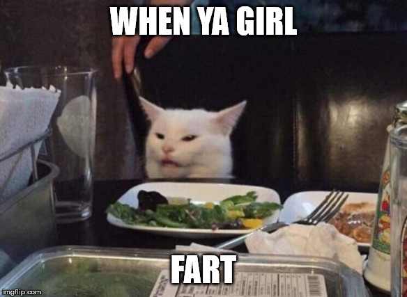 Oh no she didn't... | WHEN YA GIRL; FART | image tagged in girlfriend,fart,cat at table,damn,smell | made w/ Imgflip meme maker