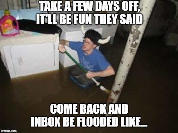 After a few days off, inbox be flooded like.... | TAKE A FEW DAYS OFF, IT'LL BE FUN THEY SAID; COME BACK AND INBOX BE FLOODED LIKE... | image tagged in it will be fun they said,funny meme,vacation,work,flooded,funny | made w/ Imgflip meme maker
