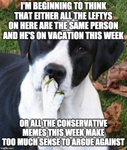 Dog Hmmmm | I'M BEGINNING TO THINK THAT EITHER ALL THE LEFTYS ON HERE ARE THE SAME PERSON AND HE'S ON VACATION THIS WEEK OR ALL THE CONSERVATIVE MEMES T | image tagged in dog hmmmm | made w/ Imgflip meme maker