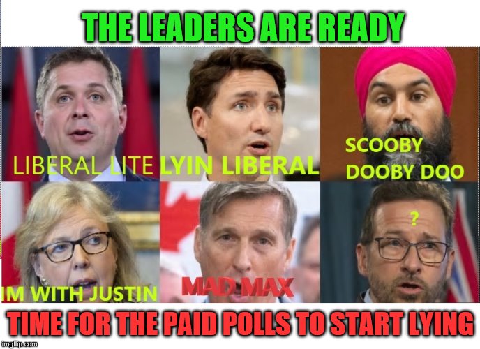 Who is that guy? | THE LEADERS ARE READY; TIME FOR THE PAID POLLS TO START LYING | image tagged in mainstream media,biased media,liberal logic,justin trudeau,stupid people,government corruption | made w/ Imgflip meme maker