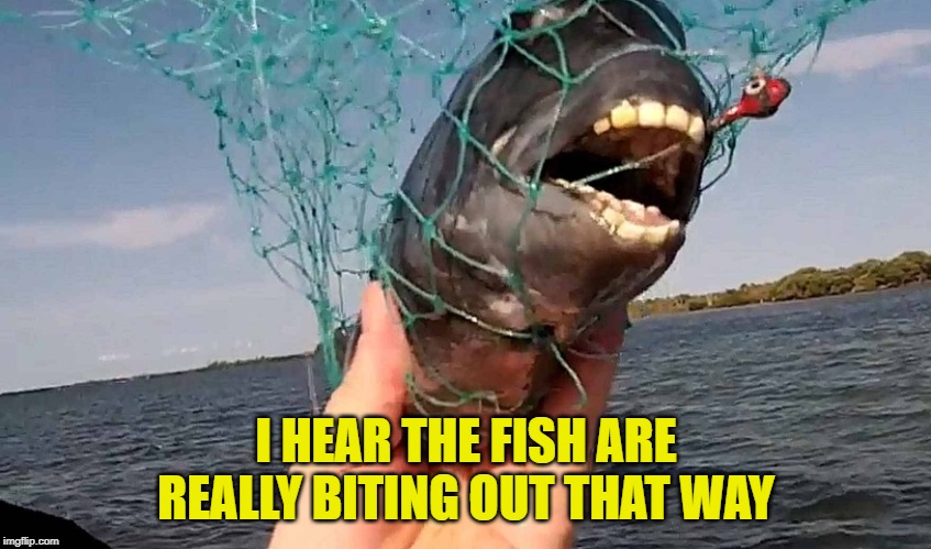 Freaky Fish | I HEAR THE FISH ARE REALLY BITING OUT THAT WAY | image tagged in freaky fish | made w/ Imgflip meme maker