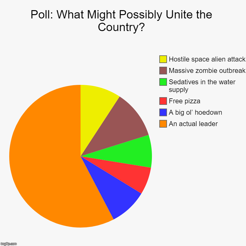 Poll: What Might Possibly Unite the Country? | An actual leader, A big ol’ hoedown, Free pizza, Sedatives in the water supply, Massive zombi | image tagged in charts,pie charts | made w/ Imgflip chart maker