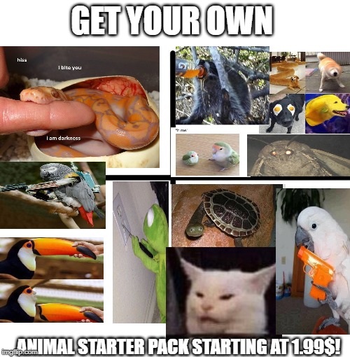 Blank Starter Pack | GET YOUR OWN; ANIMAL STARTER PACK STARTING AT 1.99$! | image tagged in memes,blank starter pack | made w/ Imgflip meme maker