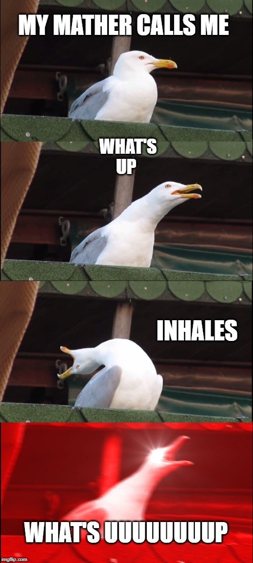 Inhaling Seagull | MY MATHER CALLS ME; WHAT'S UP; INHALES; WHAT'S UUUUUUUUP | image tagged in memes,inhaling seagull | made w/ Imgflip meme maker