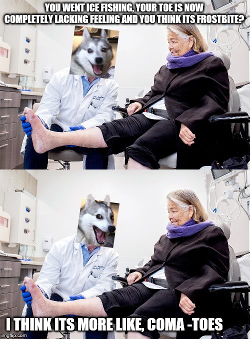 Bad Pun Dog-tor | YOU WENT ICE FISHING, YOUR TOE IS NOW COMPLETELY LACKING FEELING AND YOU THINK ITS FROSTBITE? I THINK ITS MORE LIKE, COMA -TOES | image tagged in bad pun dog,dark recesses of my meme-ory | made w/ Imgflip meme maker