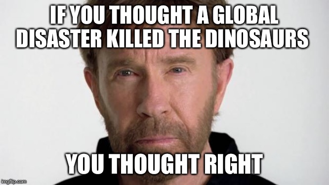 Chuck Norris, global disaster | IF YOU THOUGHT A GLOBAL DISASTER KILLED THE DINOSAURS; YOU THOUGHT RIGHT | image tagged in chuck norris | made w/ Imgflip meme maker