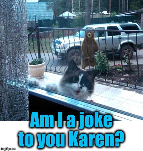 Uh, there's something you need to be aware of.... | Am I a joke to you Karen? | image tagged in scared cat,hungry bear,bad jokes,karen | made w/ Imgflip meme maker