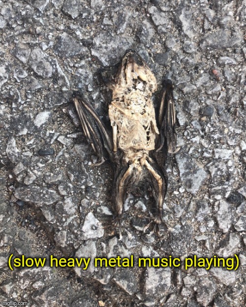 slow heavy metal music playing | (slow heavy metal music playing) | image tagged in slow heavy metal music playing | made w/ Imgflip meme maker