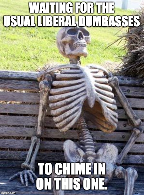 Waiting Skeleton Meme | WAITING FOR THE USUAL LIBERAL DUMBASSES TO CHIME IN ON THIS ONE. | image tagged in memes,waiting skeleton | made w/ Imgflip meme maker