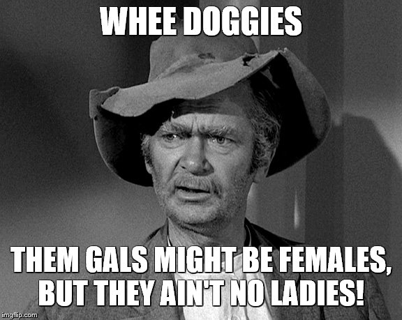 Jed Clampett | WHEE DOGGIES THEM GALS MIGHT BE FEMALES, BUT THEY AIN'T NO LADIES! | image tagged in jed clampett | made w/ Imgflip meme maker