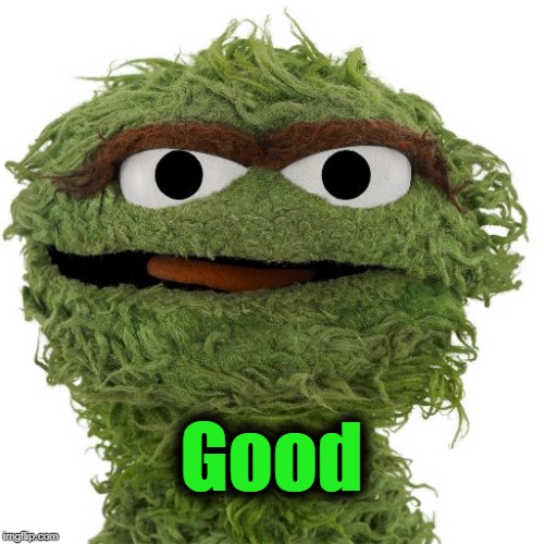 Oscar The Grouch | Good | image tagged in oscar the grouch | made w/ Imgflip meme maker