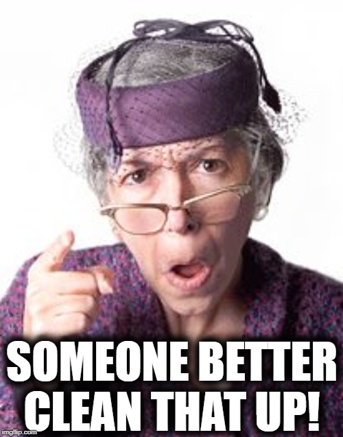 Scolding old lady | SOMEONE BETTER CLEAN THAT UP! | image tagged in scolding old lady | made w/ Imgflip meme maker