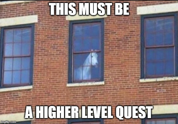 NEXT LEVEL | THIS MUST BE; A HIGHER LEVEL QUEST | image tagged in video games,gaming | made w/ Imgflip meme maker