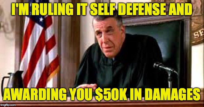 I'M RULING IT SELF DEFENSE AND AWARDING YOU $50K IN DAMAGES | made w/ Imgflip meme maker