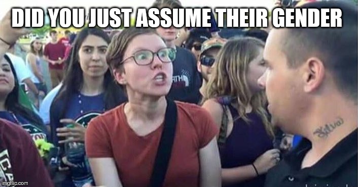 Did you just assume my gender | DID YOU JUST ASSUME THEIR GENDER | image tagged in did you just assume my gender | made w/ Imgflip meme maker
