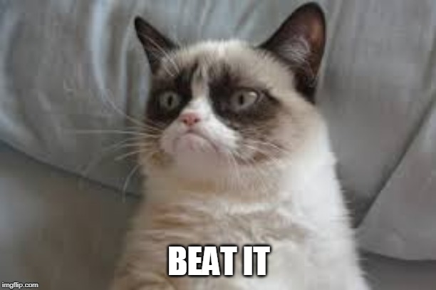 Grumpy cat | BEAT IT | image tagged in grumpy cat | made w/ Imgflip meme maker