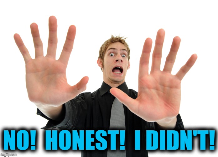 NO!  HONEST!  I DIDN'T! | made w/ Imgflip meme maker