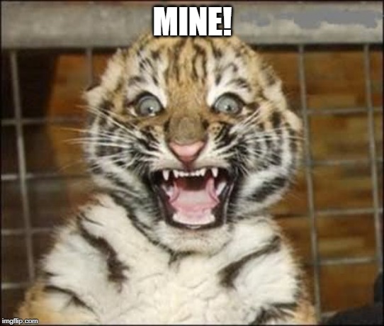 SCARED TIGER | MINE! | image tagged in scared tiger | made w/ Imgflip meme maker