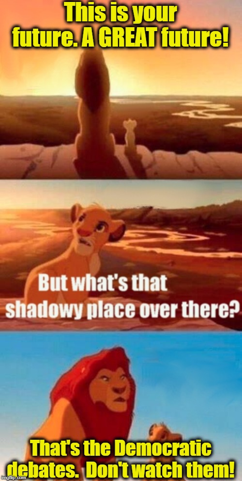 Simba Shadowy Place Meme | This is your future. A GREAT future! That's the Democratic debates.  Don't watch them! | image tagged in memes,simba shadowy place | made w/ Imgflip meme maker