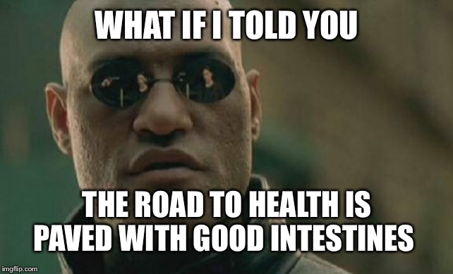 Matrix Morpheus | WHAT IF I TOLD YOU; THE ROAD TO HEALTH IS PAVED WITH GOOD INTESTINES | image tagged in memes,matrix morpheus | made w/ Imgflip meme maker