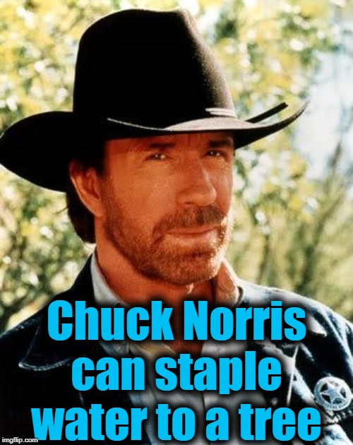 Chuck Norris Meme | Chuck Norris can staple water to a tree | image tagged in memes,chuck norris | made w/ Imgflip meme maker