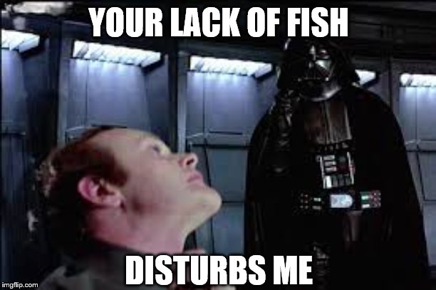 Darts Vader  choke meme | YOUR LACK OF FISH DISTURBS ME | image tagged in darts vader choke meme | made w/ Imgflip meme maker