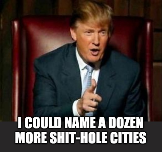 Donald Trump | I COULD NAME A DOZEN MORE SHIT-HOLE CITIES | image tagged in donald trump | made w/ Imgflip meme maker