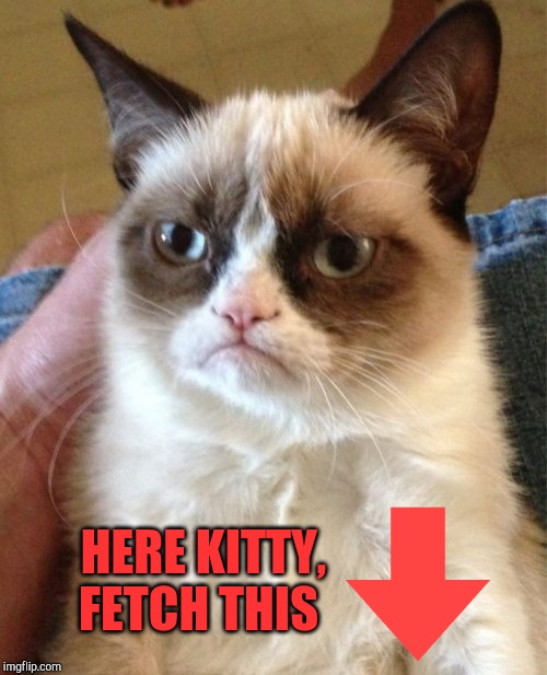 Grumpy Cat Meme | HERE KITTY, FETCH THIS | image tagged in memes,grumpy cat | made w/ Imgflip meme maker