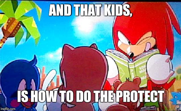knuckles | AND THAT KIDS, IS HOW TO DO THE PROTECT | image tagged in knuckles | made w/ Imgflip meme maker