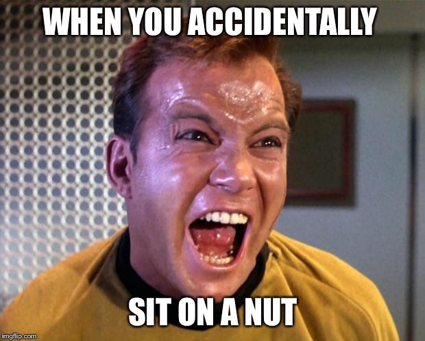 Captain Kirk Screaming | WHEN YOU ACCIDENTALLY; SIT ON A NUT | image tagged in captain kirk screaming | made w/ Imgflip meme maker