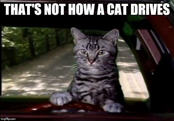 toonces | THAT'S NOT HOW A CAT DRIVES | image tagged in toonces | made w/ Imgflip meme maker