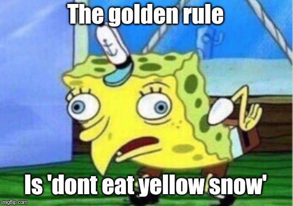 Mocking Spongebob Meme | The golden rule Is 'dont eat yellow snow' | image tagged in memes,mocking spongebob | made w/ Imgflip meme maker